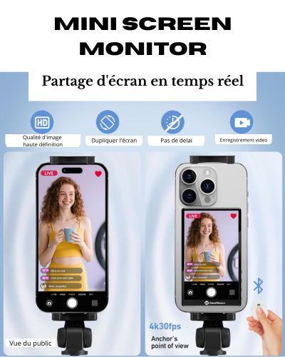 Mini screen monitor
